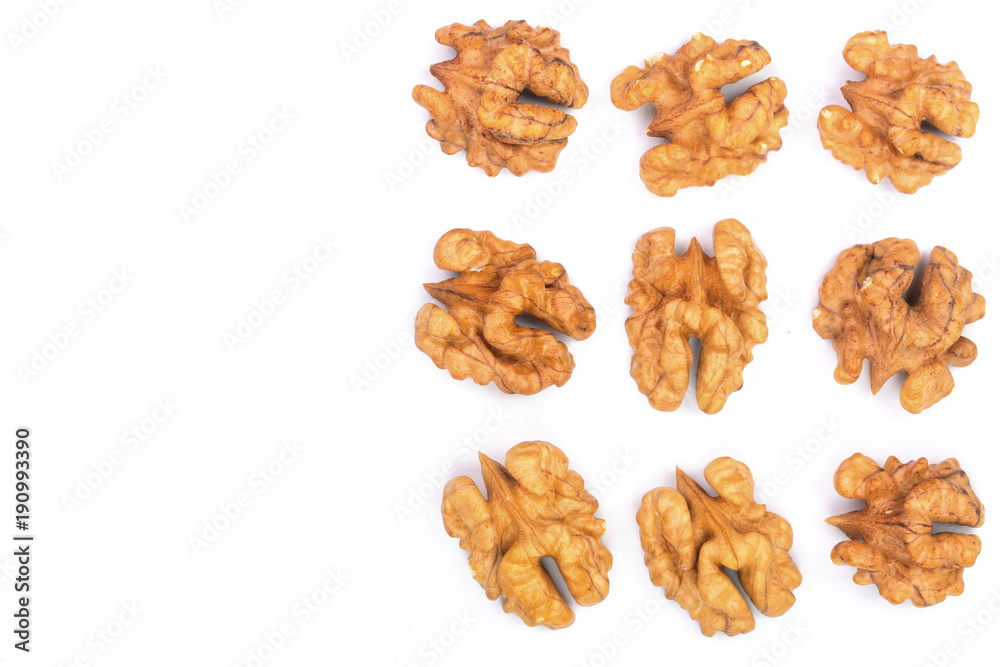 walnut kernels isolated on white background with copy space for your text. Top view. Flat lay walnut kernels isolated on white background with copy space for your text. Top view. Flat lay