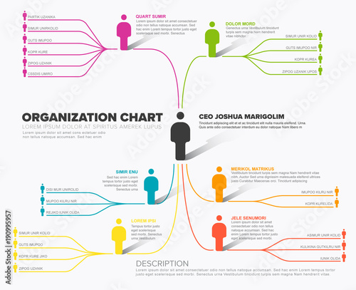 Minimalist company organization hierarchy schema diagram template