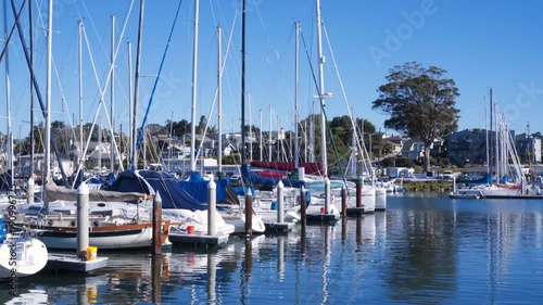Sailboats docked in a Pacific harbor bathed in morning light. photo