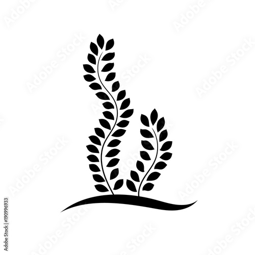 Black and white seaweed plant with leaves floral logo, vector