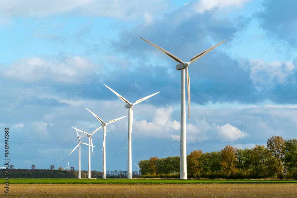 Windmills on the field