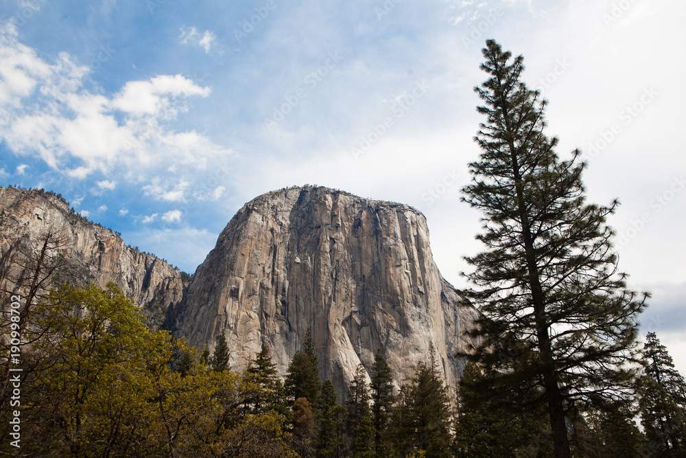 El Capitan mountain, Yosemite.