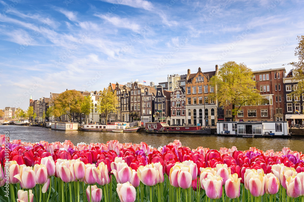 Fototapeta premium Amsterdam miasto linia horyzontu przy kanałowym nabrzeżem z wiosna tulipanowym kwiatem, Amsterdam, Holandia