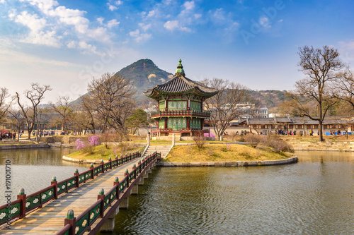 Spring at Gyeongbokgung Palace, Seoul, South Korea