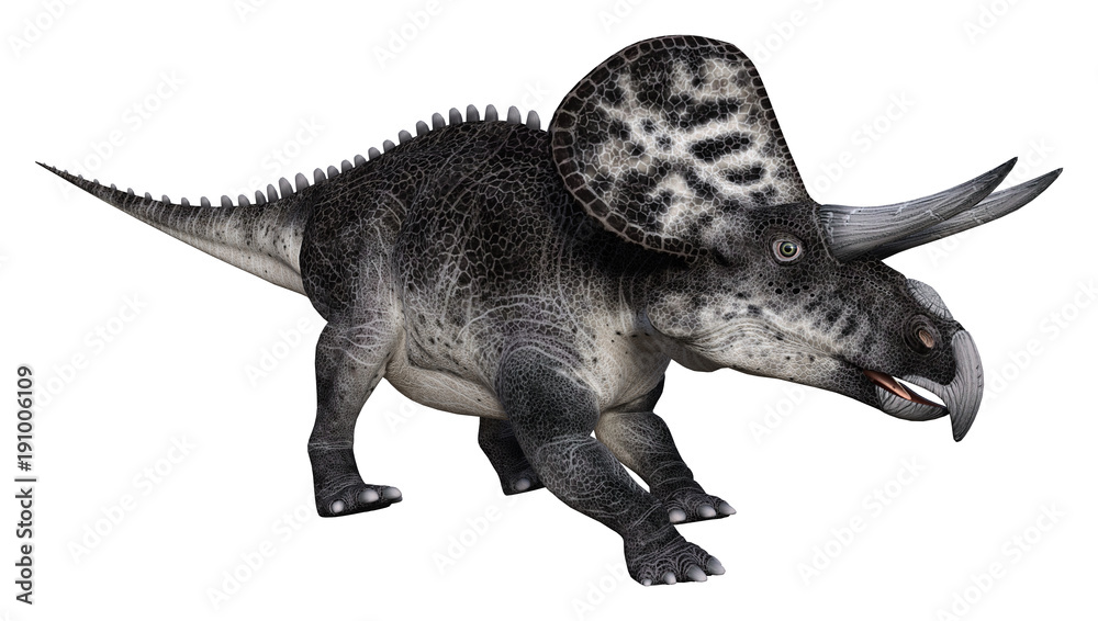 Fototapeta premium 3D Rendering Dinosaur Zuniceratops on White