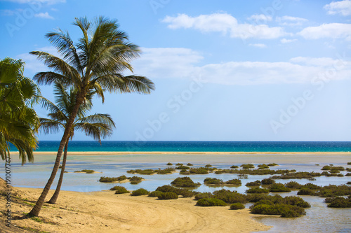 Sotavento Beach in Fuerteventura  Canary Islands  Spain  