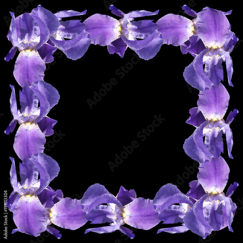 Fototapeta Naklejka Na Ścianę i Meble -  Frame of blue irises