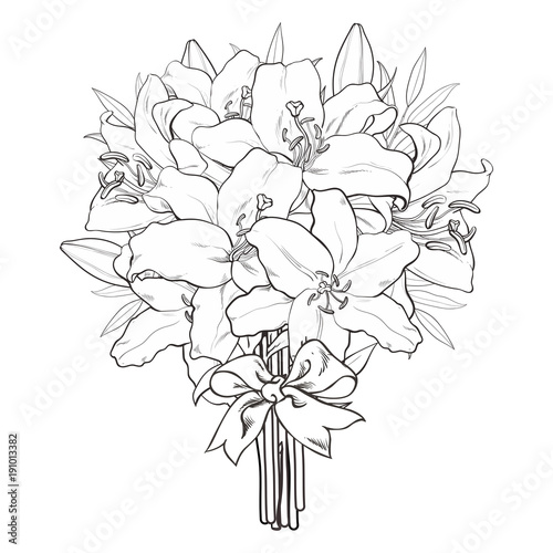 Fototapeta Naklejka Na Ścianę i Meble -  Vector hand drawn sketch illustration of monochrome bouquet white tulips flower with closed opened blossom leaves . Floral natural decoration background, backdrop element fabric textile design