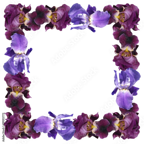 Fototapeta Naklejka Na Ścianę i Meble -  Frame of purple and blue irises