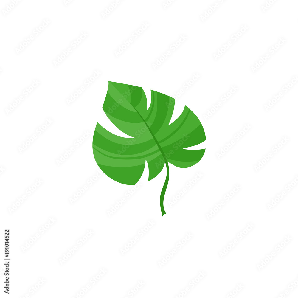 Vector flat summer symbol - tropical green monstera leaf icon. Isolated floral illustration on a white background for advertising, poster design.