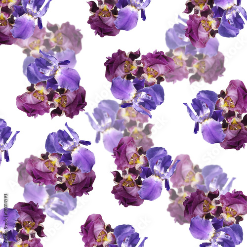Fototapeta Naklejka Na Ścianę i Meble -  Beautiful floral background of purple and blue irises  