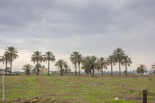 Farm and vegetable gardens and greenhouses near the dead sea photo