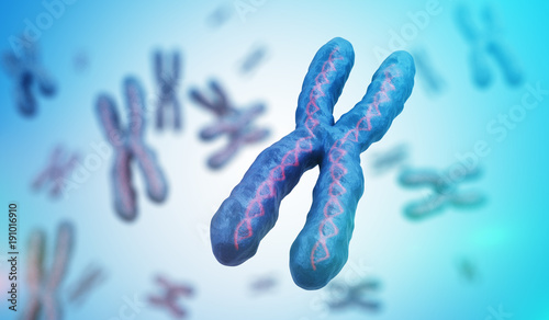 Genetics concept. Many X chromosomes with DNA molecules. 3D rendered illustration. photo