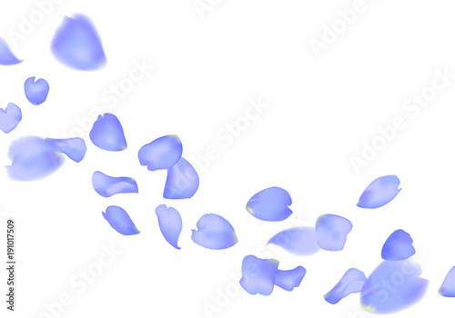 blue sakura or rose falling petals