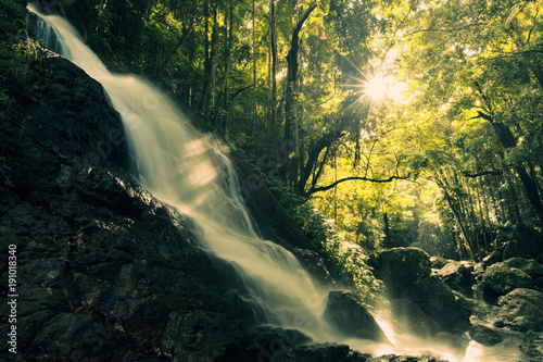 Kondalilla Falls in Kondalilla Falls National Park. photo