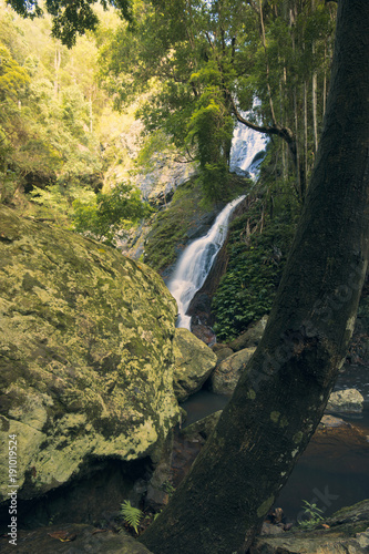 Kondalilla Falls in Kondalilla Falls National Park. photo