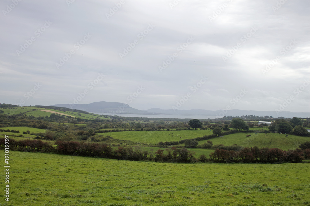 Fototapeta premium An agricultural scene with a backdrop of mountains and sea