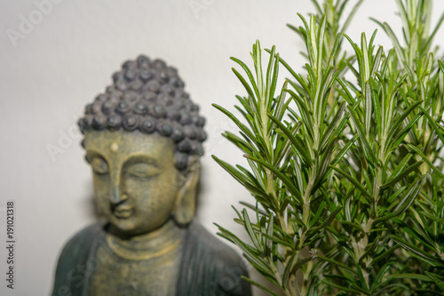 Buddha mit Pflanze