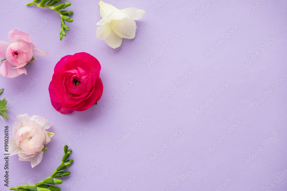 Beautiful pink peony flowers on purple background table with copy space for your text top view and flat lay style.