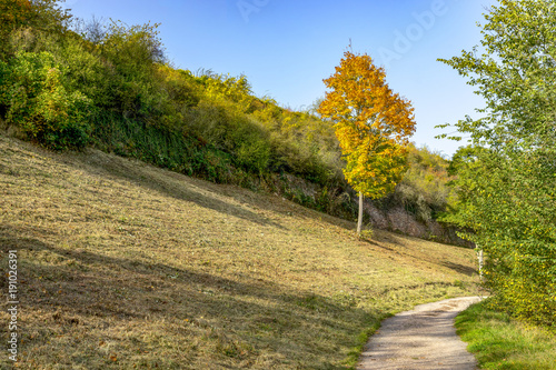 Hiking trail in autumn near Bad Kreuznach City in Rhineland Palatinate, Germany