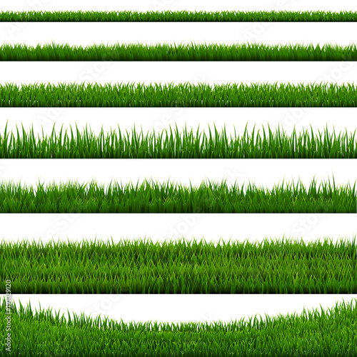 Grass Border Collection White Background