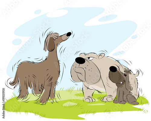 Meeting dogs on the walk