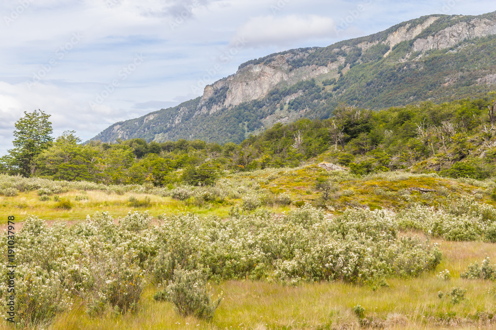 Trail, Forest and mountain, Tierra del Fuego National Park