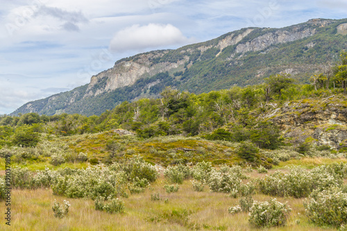 Trail, Forest and mountain, Tierra del Fuego National Park
