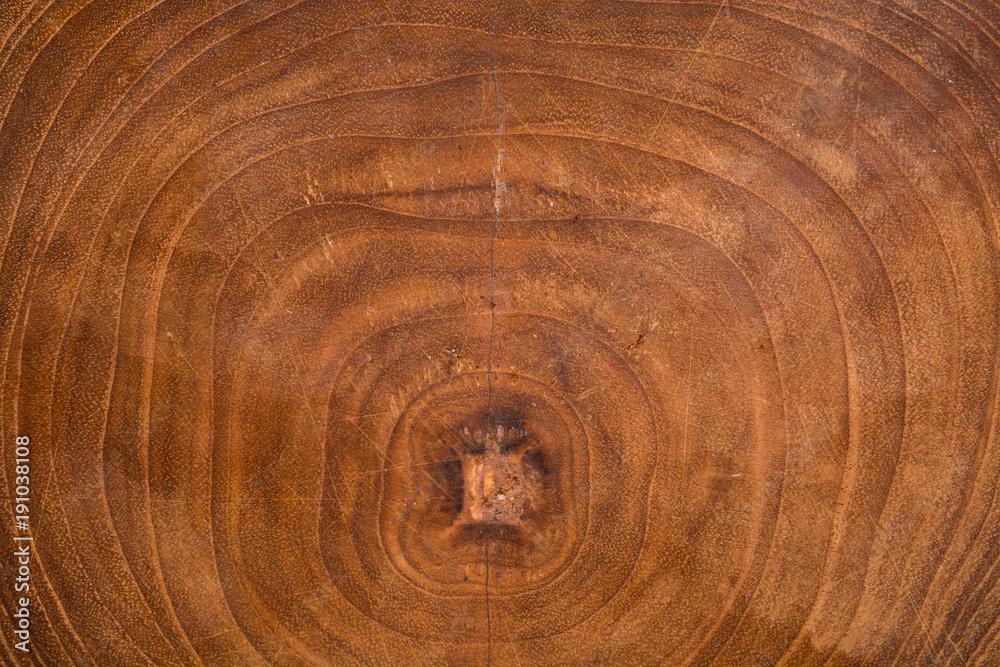 Wooden background with annual rings.