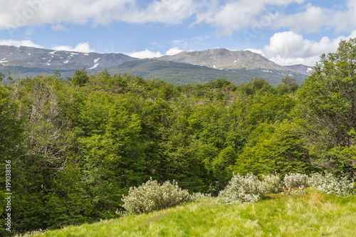 Forest and mountain, Tierra del Fuego National Park