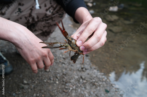 Man showing crayfish at lake
