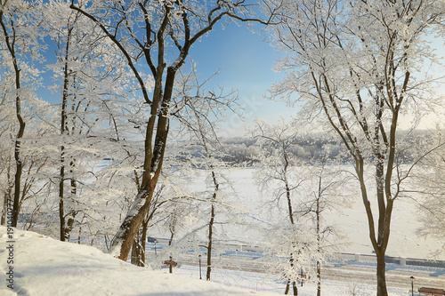 Branches of trees in icy cold frost.