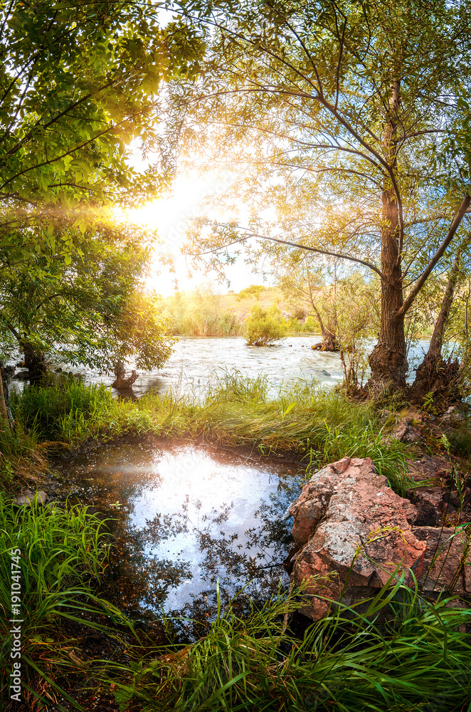 Obraz premium stream