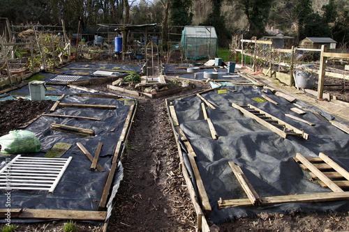Allotment beds in Winter