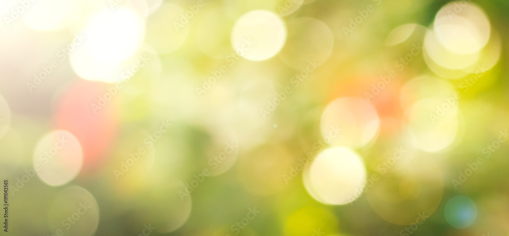 Obraz premium Abstract nature bokeh background with green and yellow circular light blur