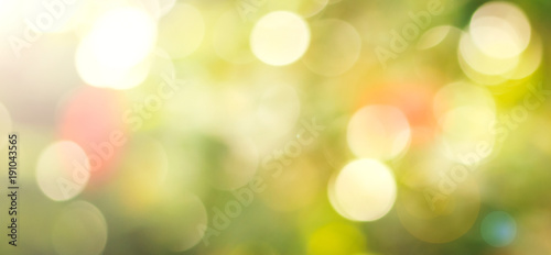 World environment day concept: Abstract blurred nature background