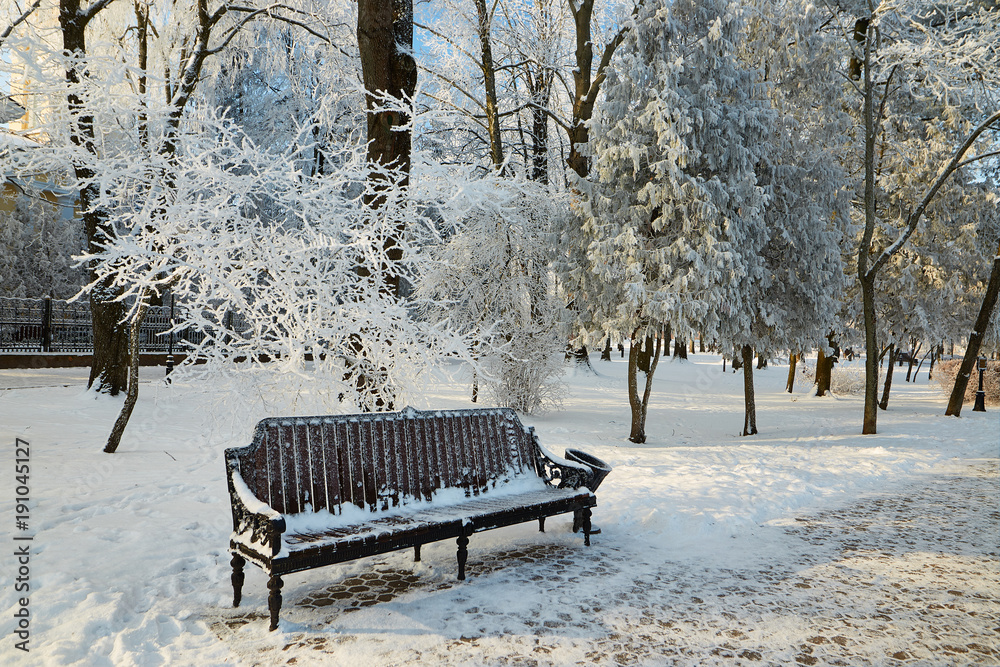Bench in the park in icy cold frost.