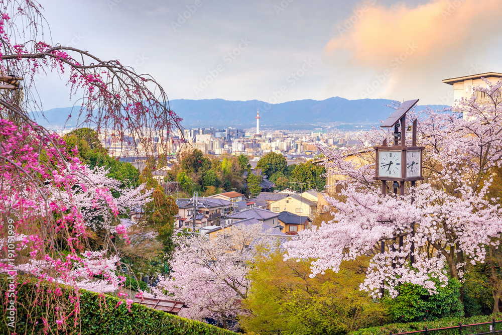 Fototapeta premium Panoramę miasta Kioto z Sakura