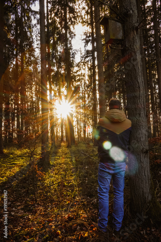 Mann, Wald, Bäume, Sonne, 