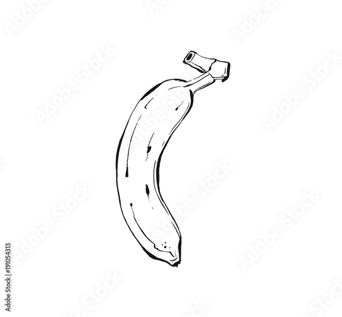 Hand drawn vector abstract ink realistic graphic sketch drawing illustration with tropical banana fruit isolated on white background
