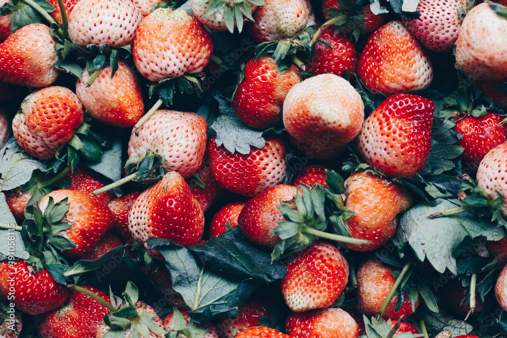 Strawberry red texture group background. Strawberry red texture group background.