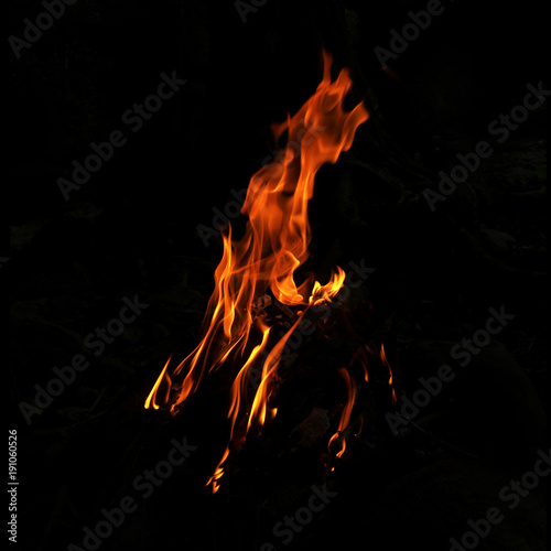 Fire flames on black background. © Arun