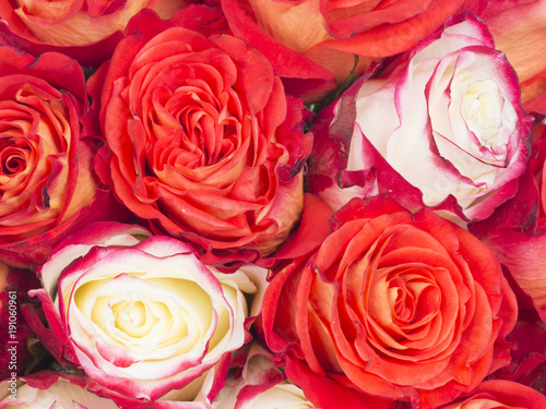 beautiful bright bouquet of roses