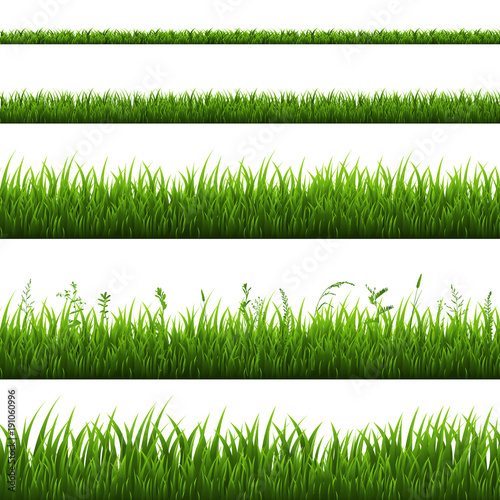 Grass Border Isolated