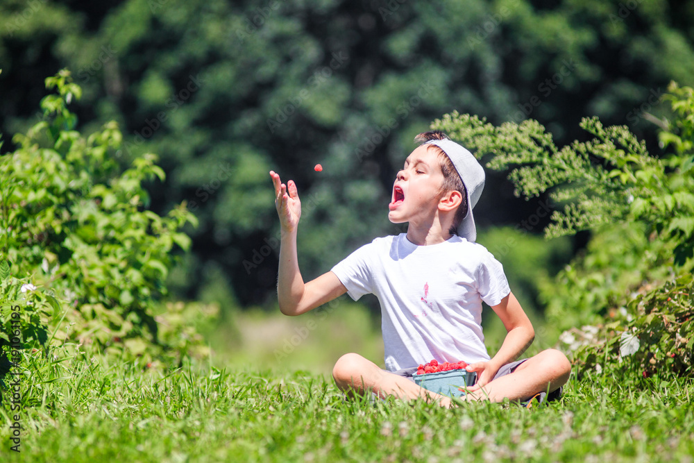 boy throws a raspberry into his mouth. Portrait of a happy kid throwing berry in the air. Copy space for your text boy throws a raspberry into his mouth. Portrait of a happy kid throwing berry in the air. Copy space for your text