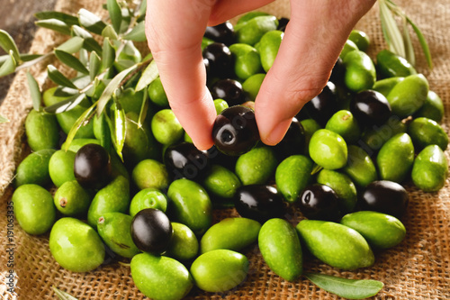 Genuine Italian olives organic oil cold pressed  falls. concept of nature and healthy food, healthy and natural. fresh olives and Tuscan Italian oil