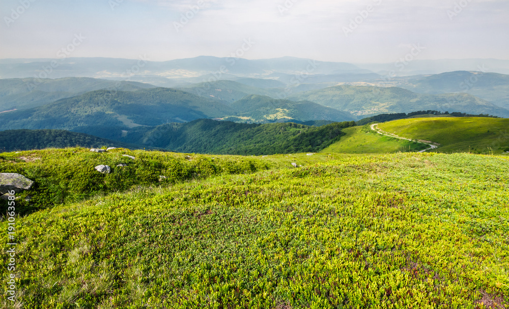 grassy carpet of the mountain meadow. beautiful summer landscape viewed from high altitude