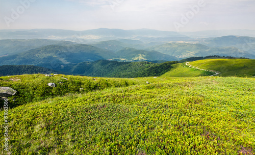 Obraz na płótnie grassy carpet of the mountain meadow. beautiful summer landscape viewed from high altitude w salonie