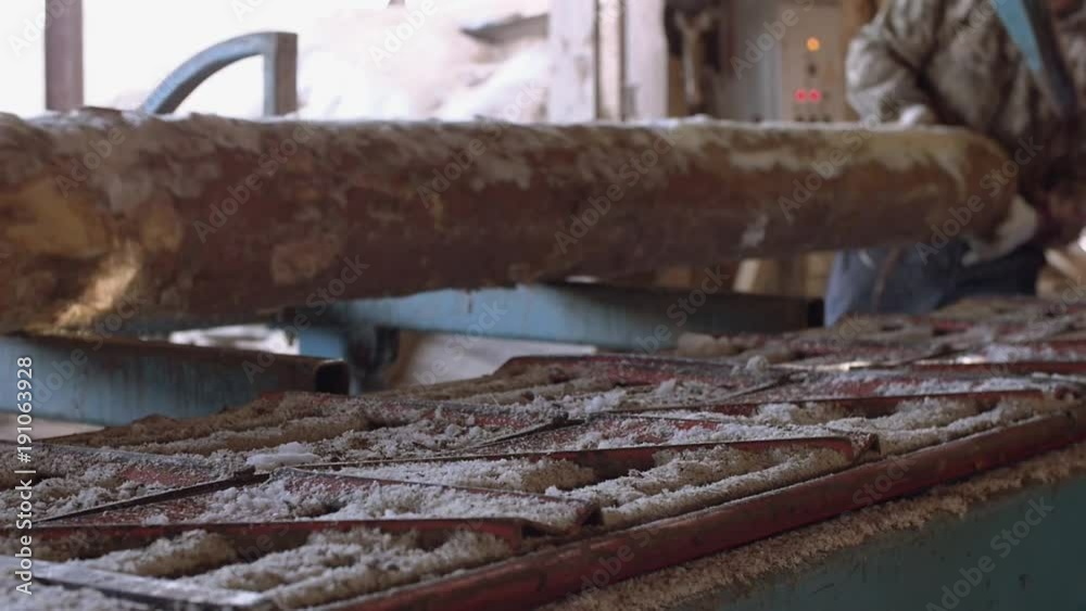 Carpenter loads big lumber log on workbench with metal railing at sawmill, lots of sawdust, sunny outside Carpenter loads big lumber log on workbench with metal railing at sawmill, lots of sawdust, sunny outside