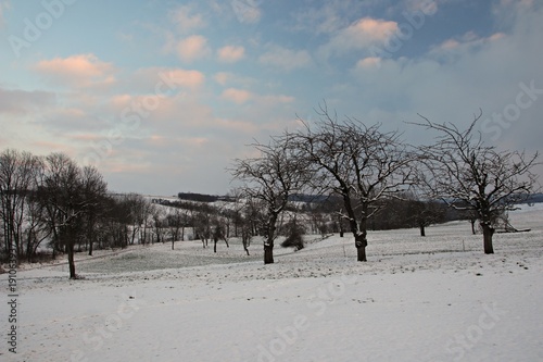Winterlandschaft in Thüringen